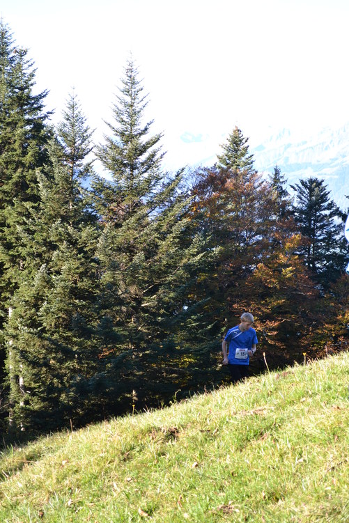rund um unterseen 2014