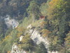 Hardermatte
