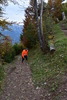 Auf dem Harder