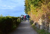 Harder Kulm
