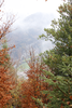 Harder Kulm