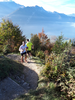Harder Kulm