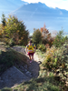 Harder Kulm