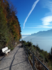 Harder Kulm