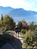 Harder Kulm