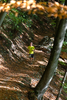 Tallauf