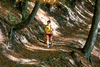 Tallauf